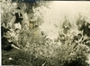 Cartoceto - seminarista - 1929
